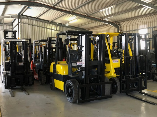 Forklifts in warehouse